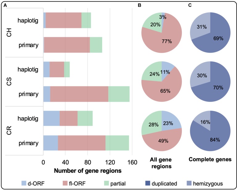 FIGURE 3