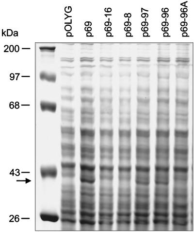 FIG. 8