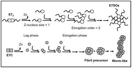 Figure 8