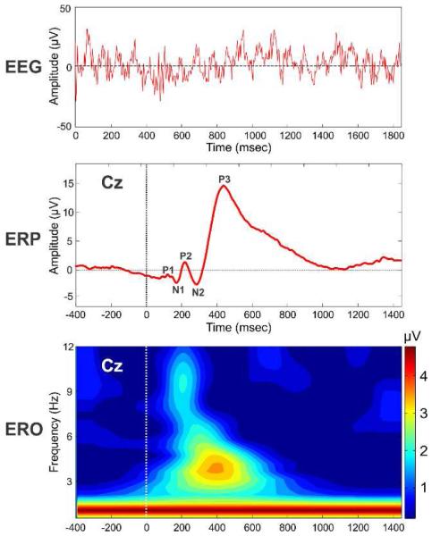 Fig. 1