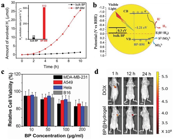 Figure 21