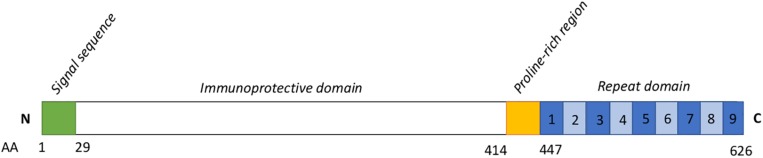 FIGURE 1