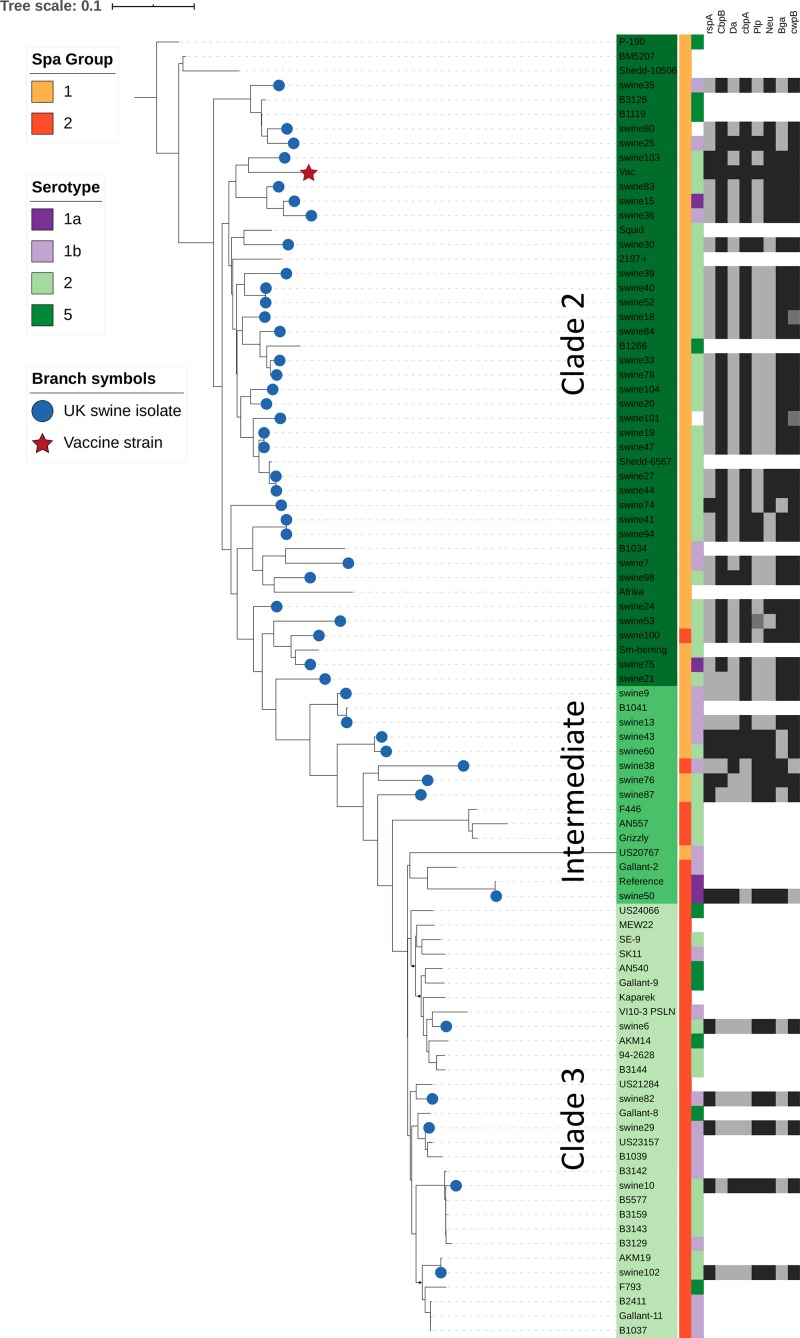 FIGURE 3