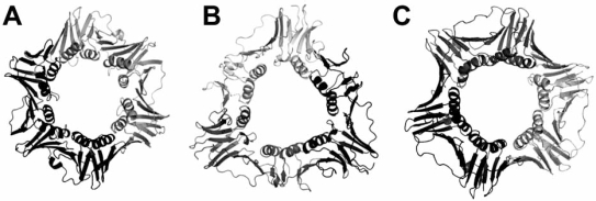 Fig. (1)