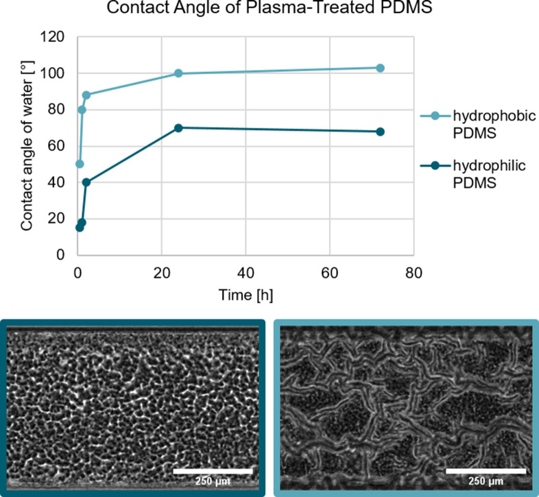 Figure 4—figure supplement 1.