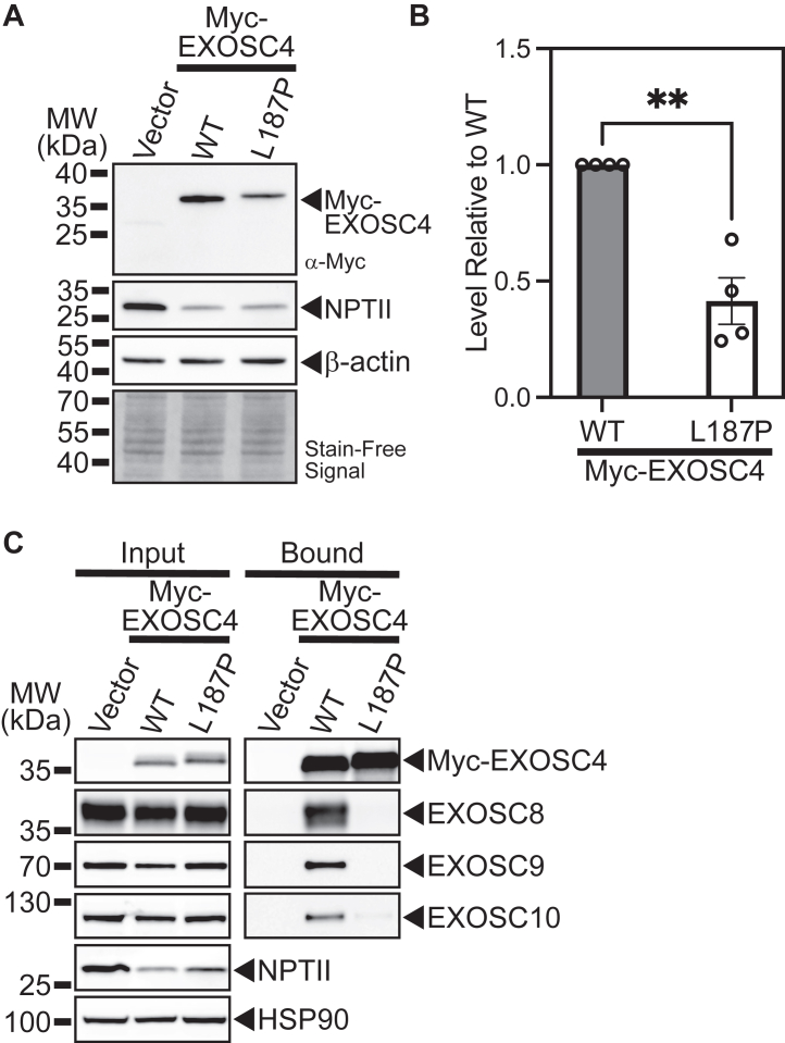 Figure 7