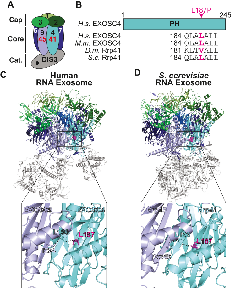 Figure 2