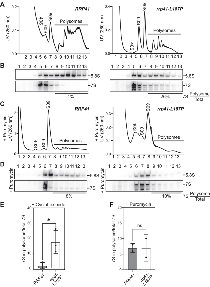 Figure 6