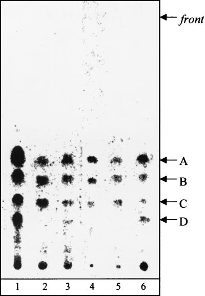 FIG. 5.