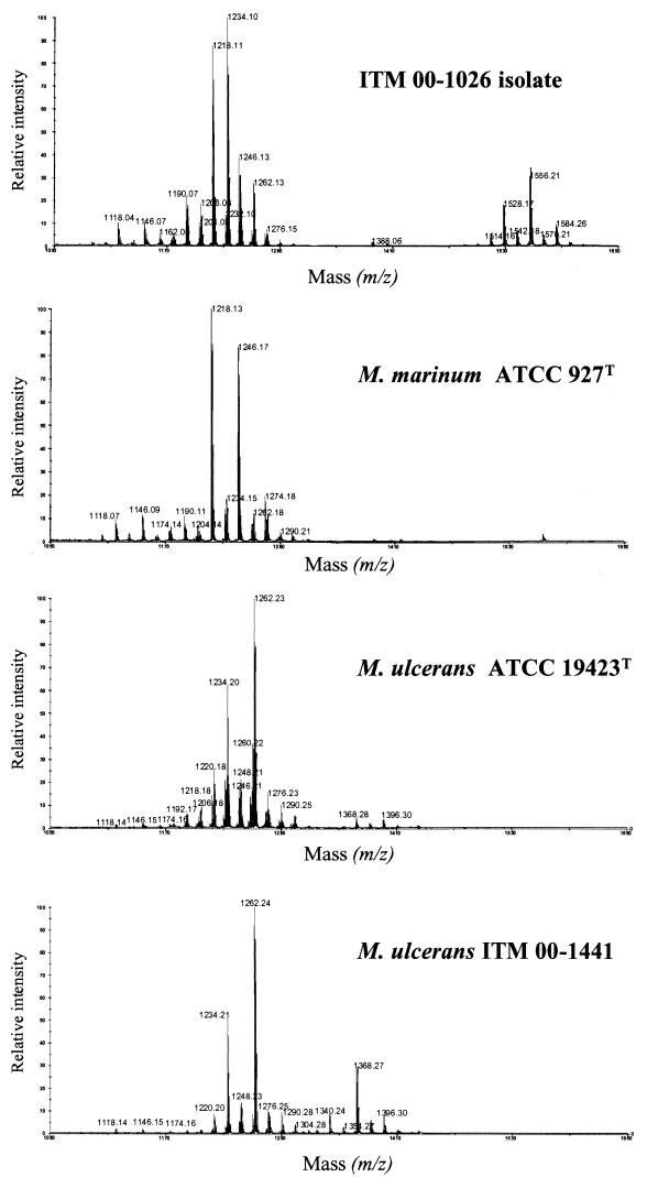 FIG. 7.