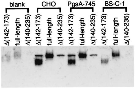 FIG. 9.