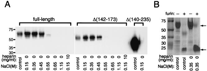 FIG. 5.