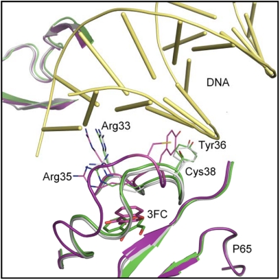 FIGURE 7.