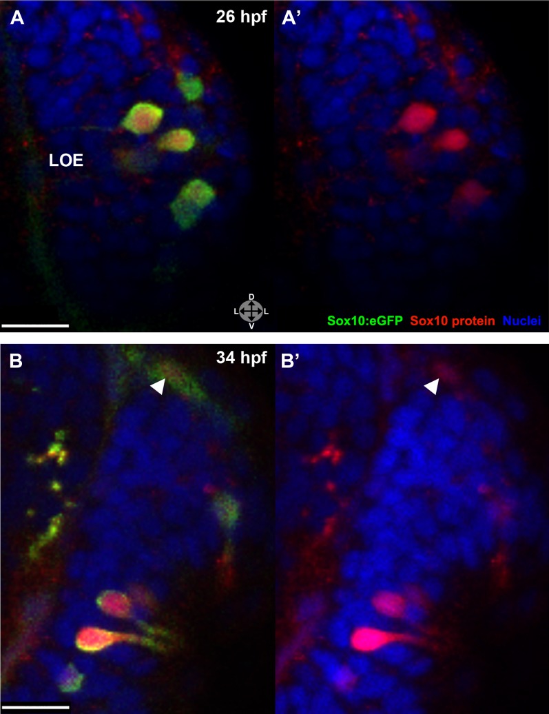 Figure 4.