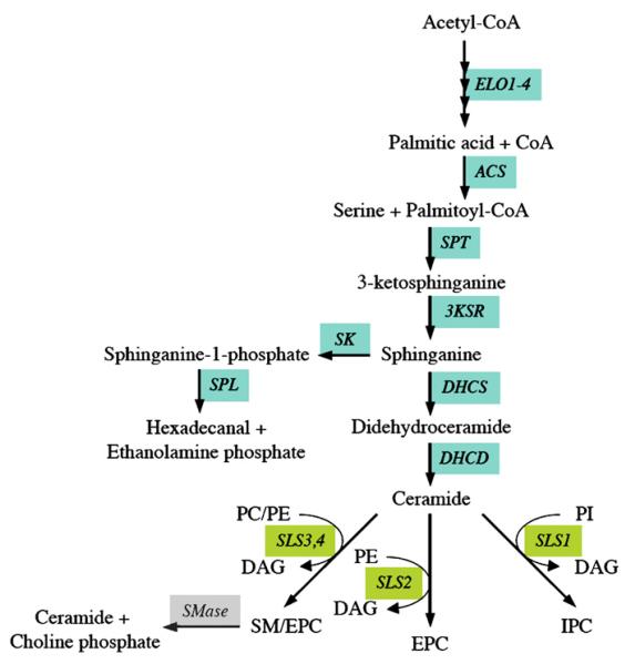 Fig. 2