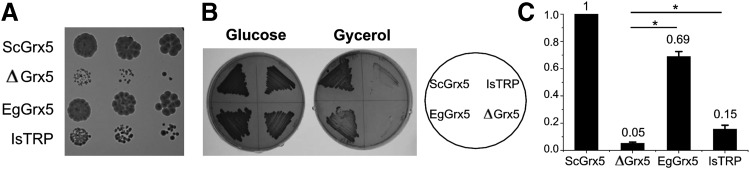 FIG. 5.