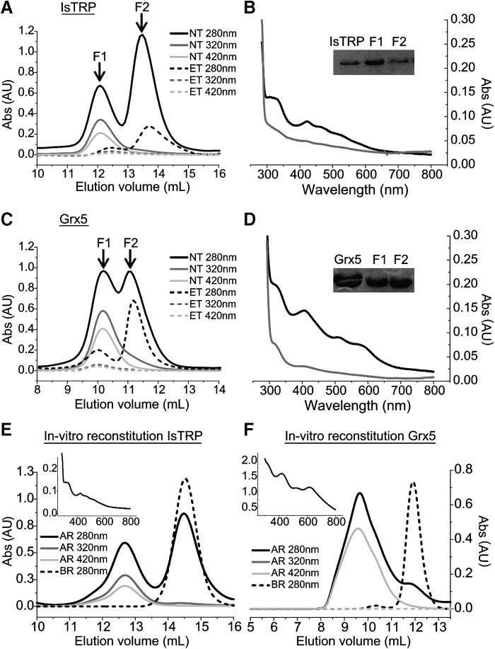 FIG. 2.