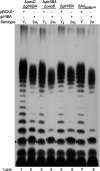 FIG 5