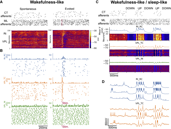 Figure 4