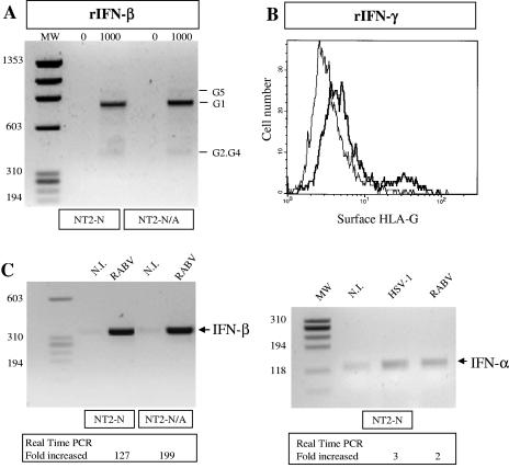 FIG. 6.