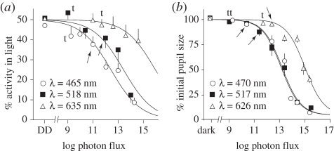 Figure 3.