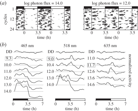 Figure 2.