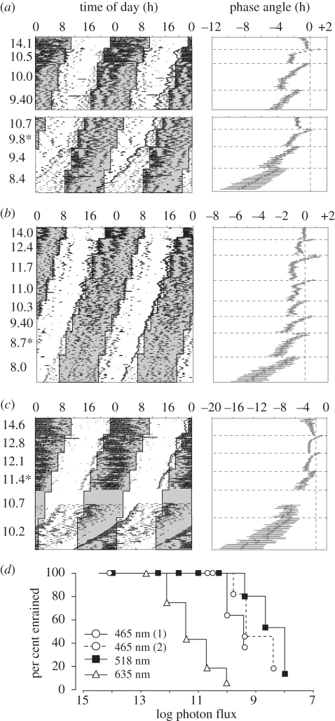 Figure 1.