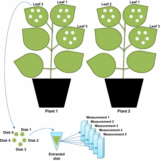 Fig. 1