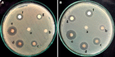 Fig. 10