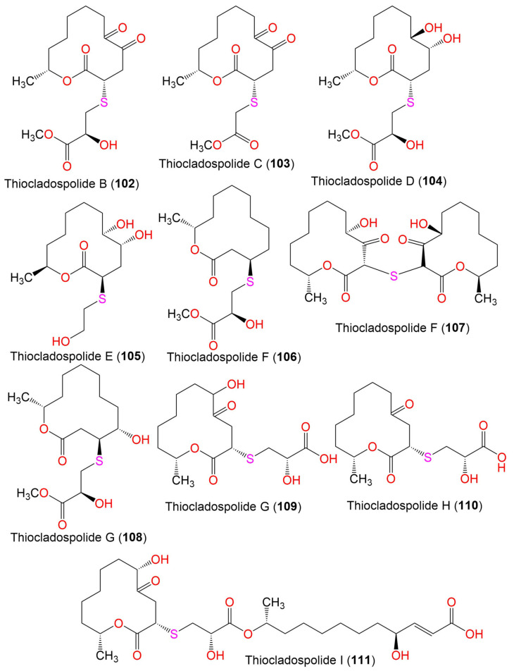 Figure 13