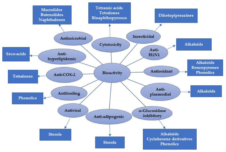 Figure 36