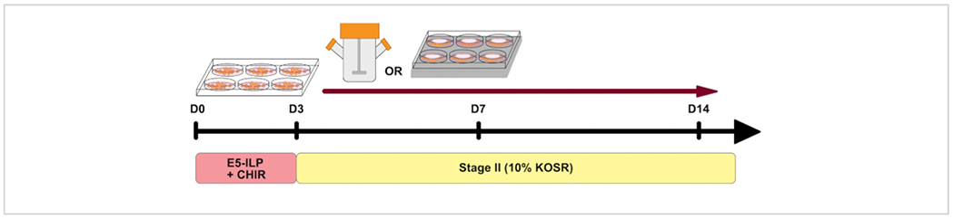 Figure 1: