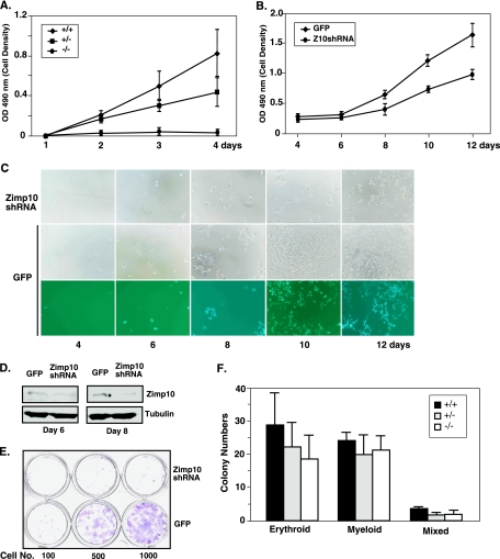 FIG. 4.