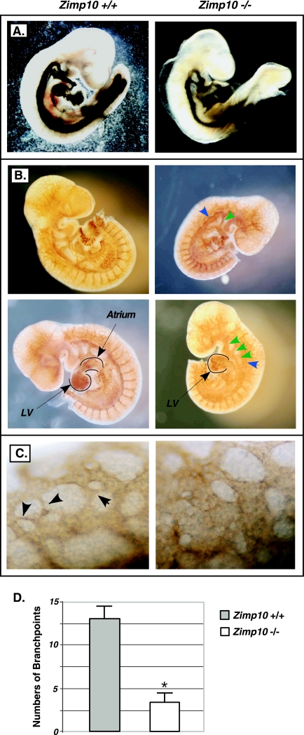 FIG. 5.