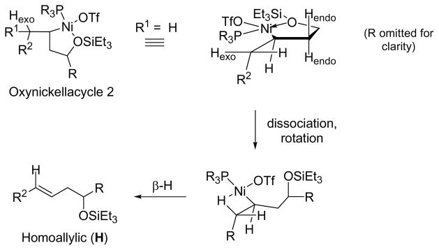 Scheme 4