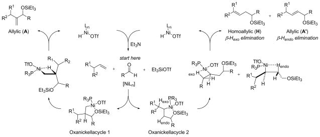 Scheme 1