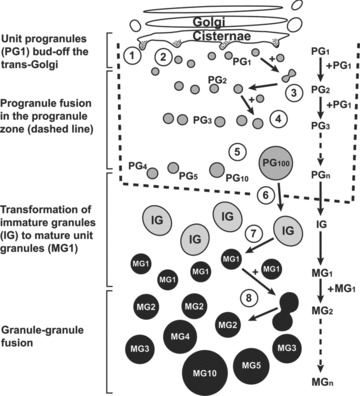 Fig 8