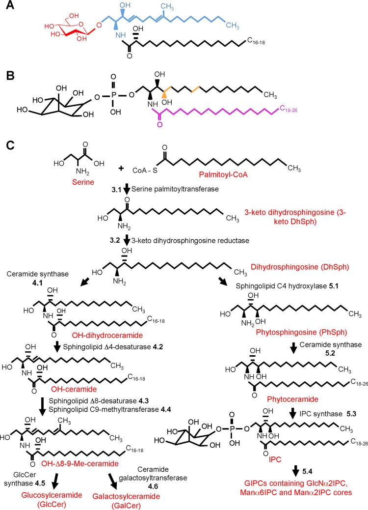 FIG 1 