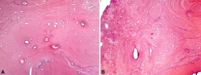 Fig. 7A–B