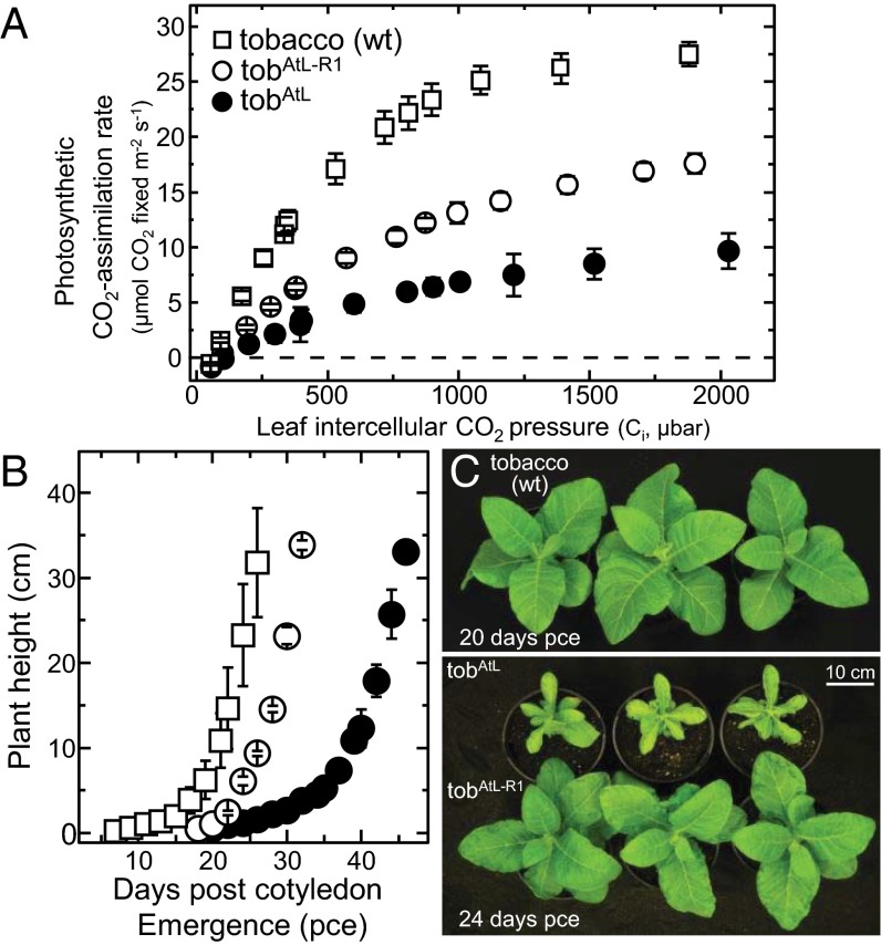 Fig. 4.