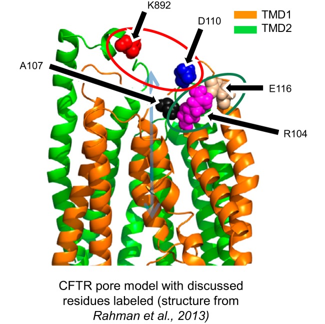 Fig. 9.