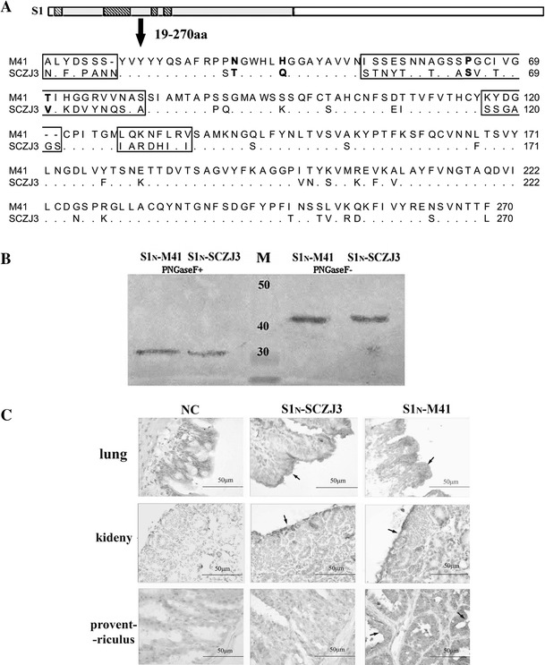 Fig. 1