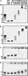 Fig. 3