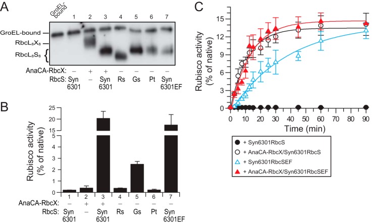 FIGURE 7.