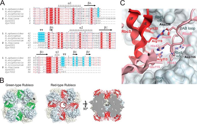 FIGURE 3.