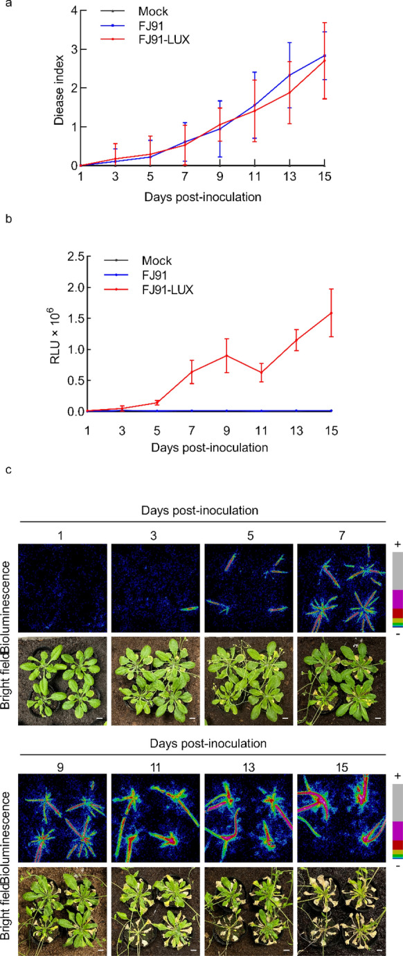 Fig. 4