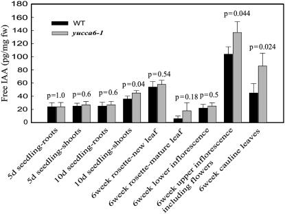 Figure 5.