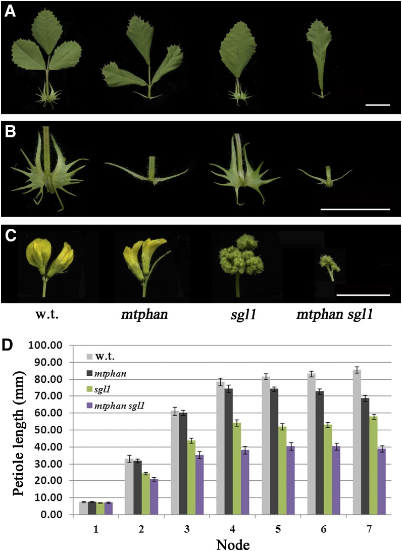 Figure 6.