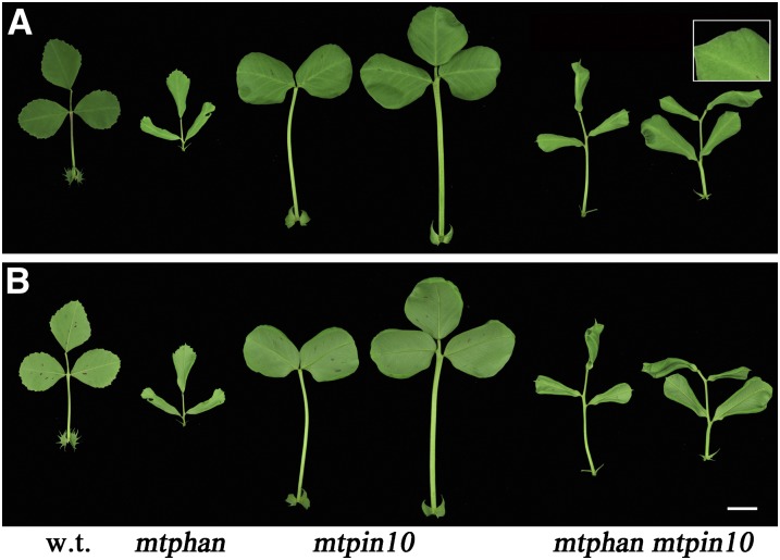 Figure 5.