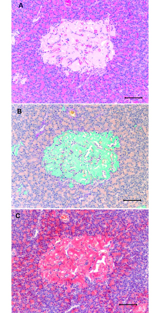 Figure 11.